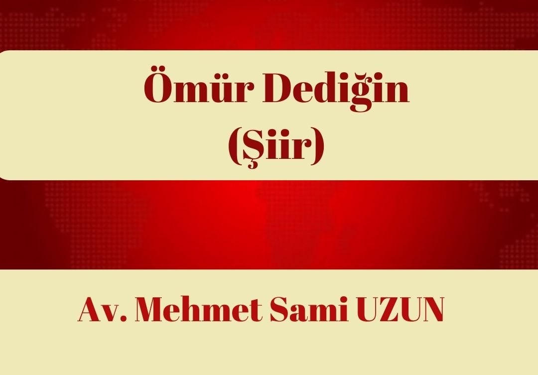 Krem ve Nane Rengi Bekarlar Farkındalık Günü Özlü Söz Instagram Gönderisi (2)